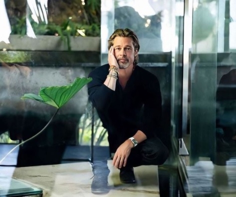 Brad Pitt demanda a Angelina Jolie por vender parte de su finca en Francia