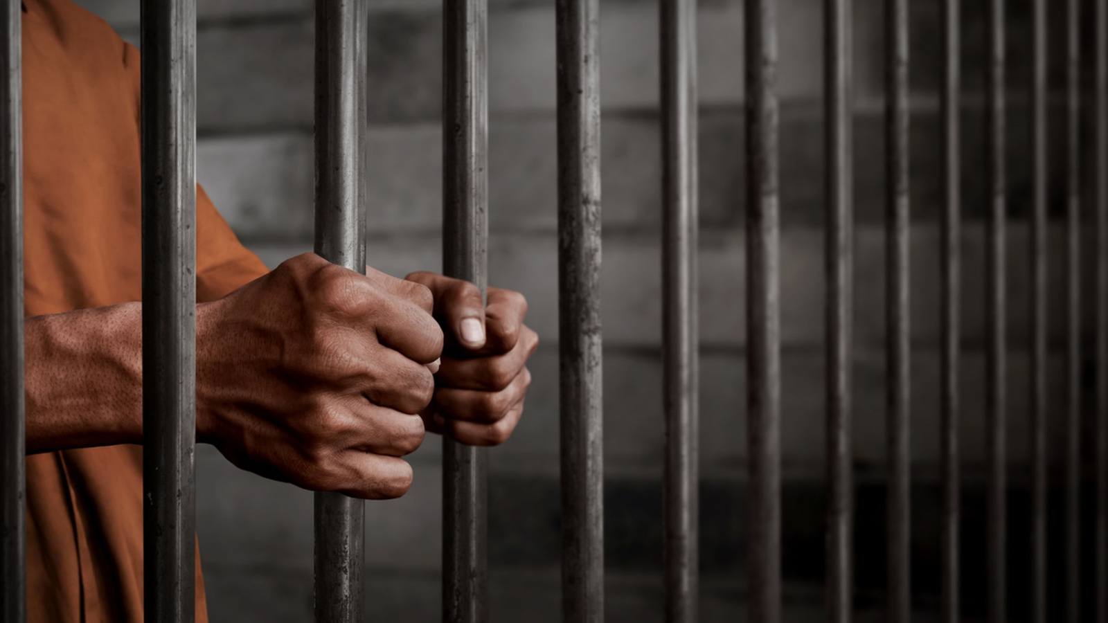 El 29 de julio, AMLO anunció su intención de firmar un decreto para liberar a presos con el objetivo de ayudar a personas condenadas por delitos menores.