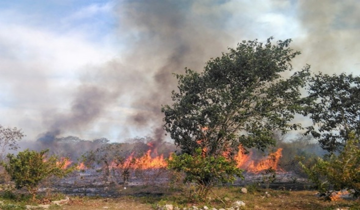 Campeche registra 62 mil puntos de calor durante la temporada de incendios 2020