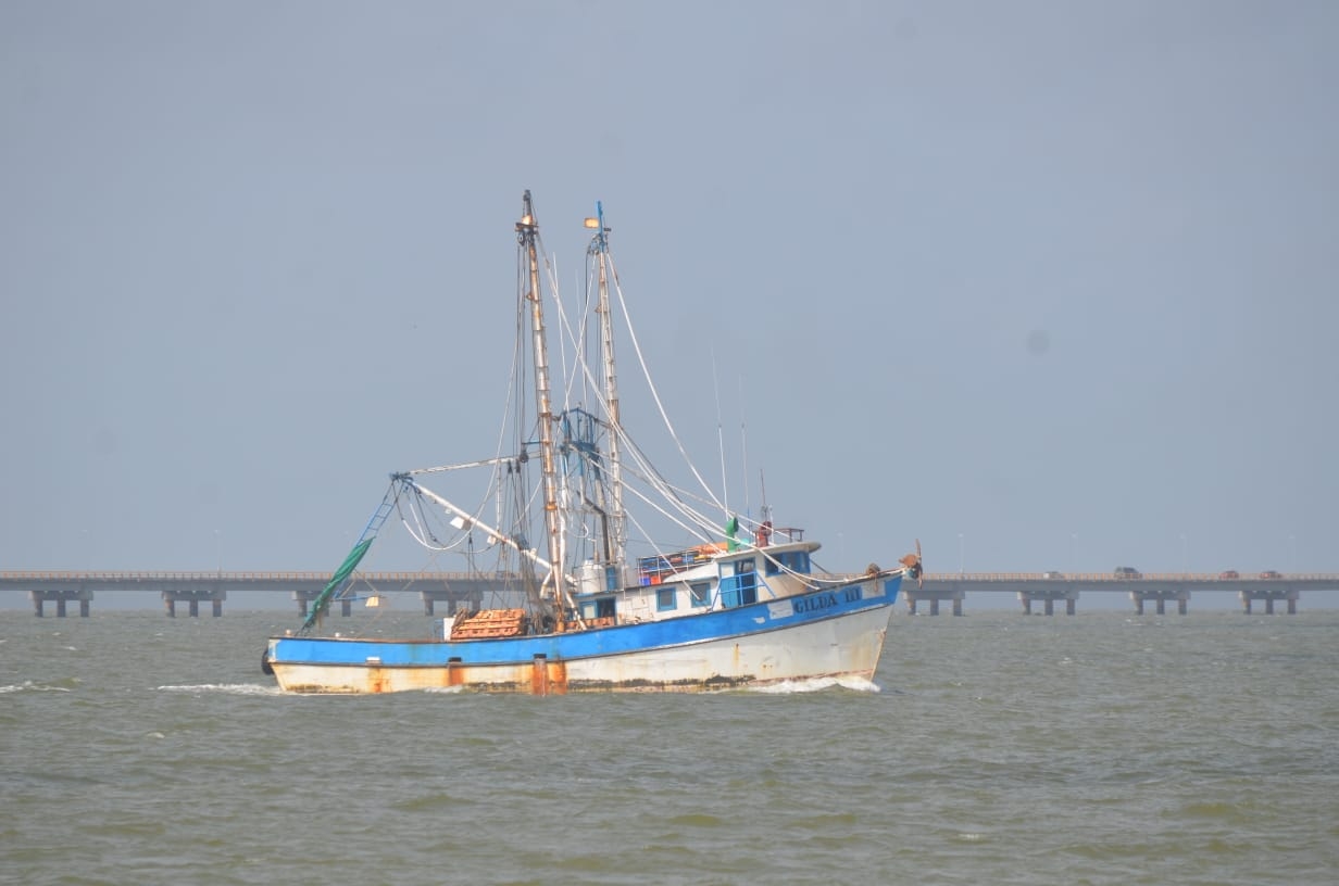 Pesca de camarón en Ciudad del Carmen, en incertidumbre por precio del diesel marino