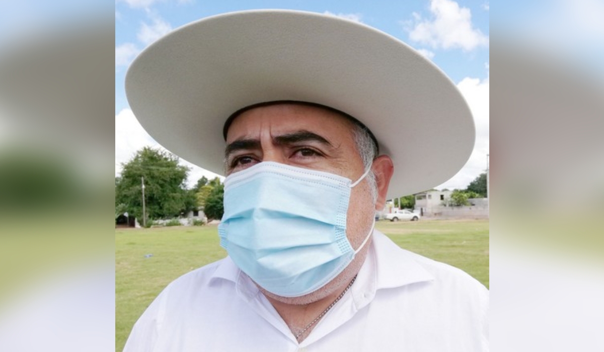 Plaga de langostas llega a Campeche, reportan avistamientos en tres municipios