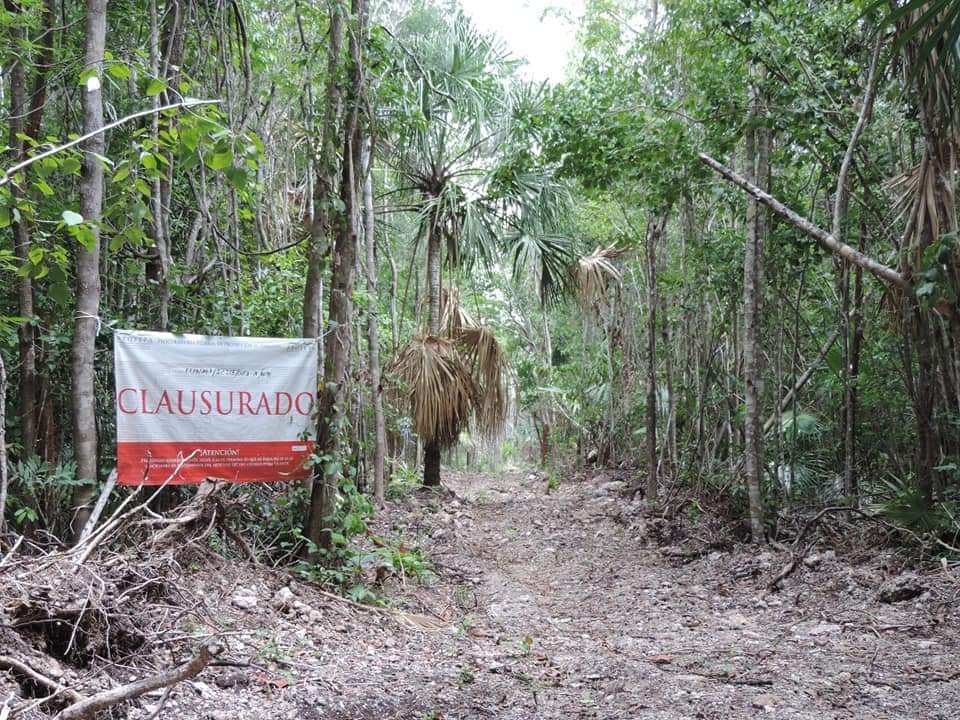 Inmobiliaria quiere construir cabañas en zona protegida en Chetumal, denuncian