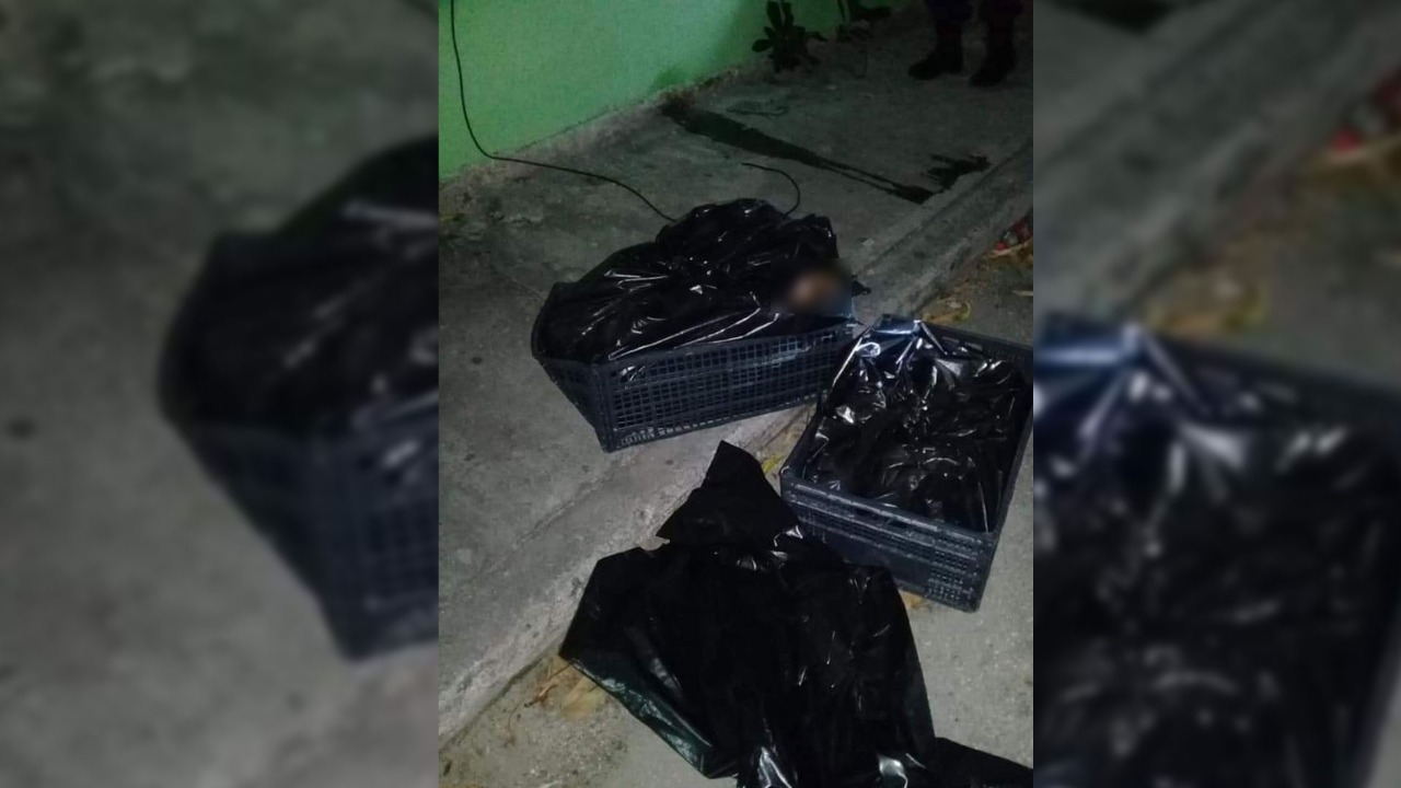 Identifican cuerpo descuartizado; era de uno de los hermanos secuestrados en Cancún