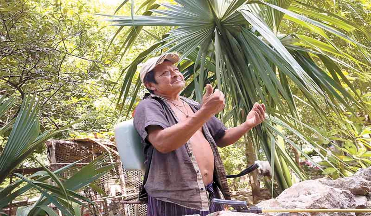 En el estado de Yucatán son más los hombres quienes presentan problemas de sordera
