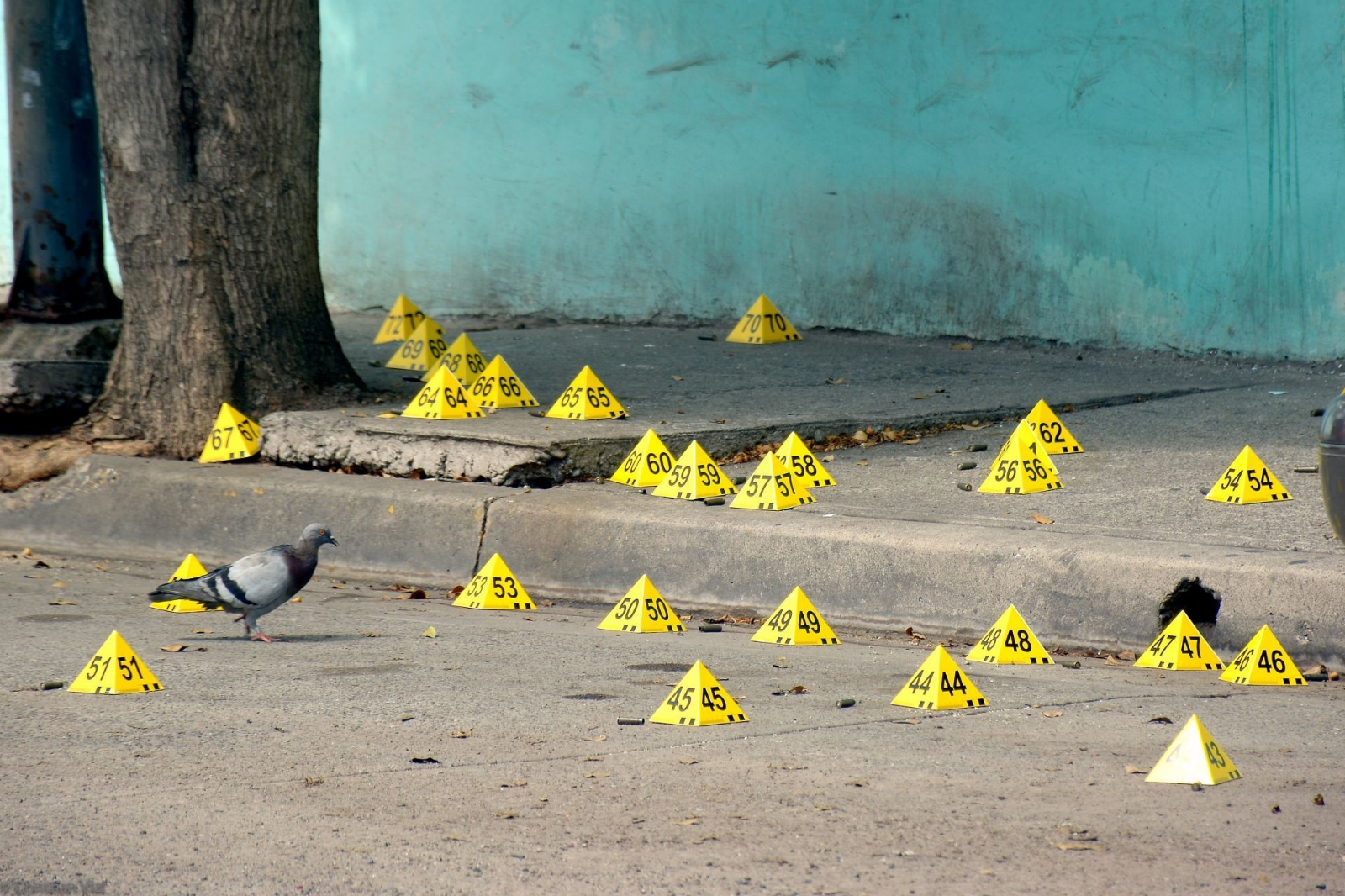 Quintana Roo, con 750 homicidios fue el estado más violento de la península en 2019, asegura INEGI