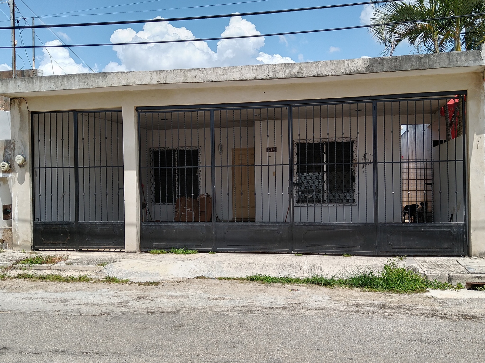 Perritos llevan 9 meses y medio encerrados en una casa de Mérida