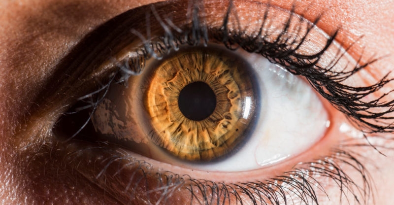 Trasplante de córneas en Yucatán: Precio de esta parte del ojo alcanza los tres mil dólares