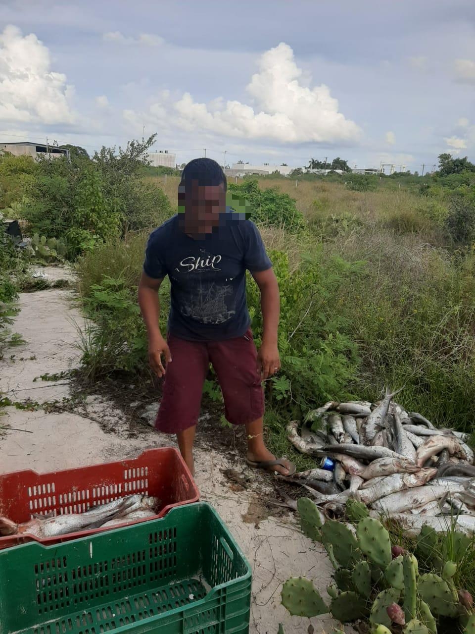 Detienen a dos hombres por tirar pescado podrido en Progreso
