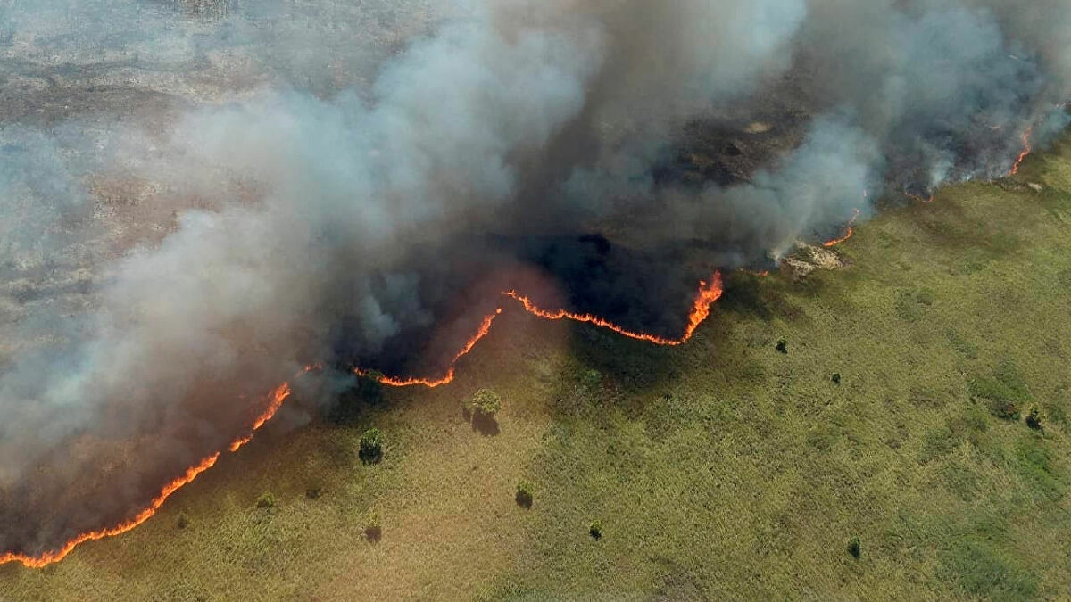 Detectan puntos de calor que podrían convertirse en incendios en Quintana Roo