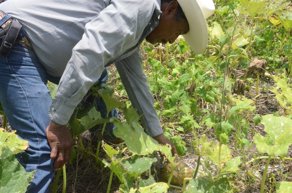 ¿En qué benefició FIRA al sector rural de Campeche en 2021?