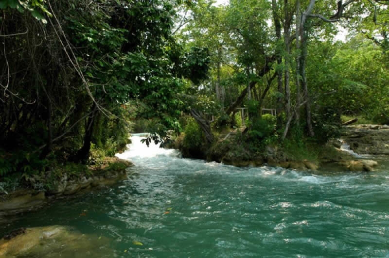 Descubre las maravillas ecoturísticas de Campeche