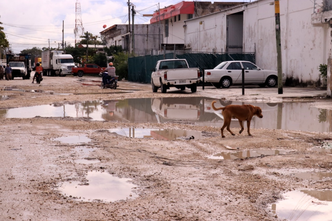 Intransitables las calles de Cancún; más de 50 zonas presentan baches