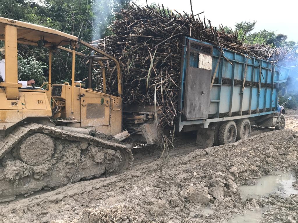 Lluvias retrasan más de 100 mil toneladas de caña en Chetumal