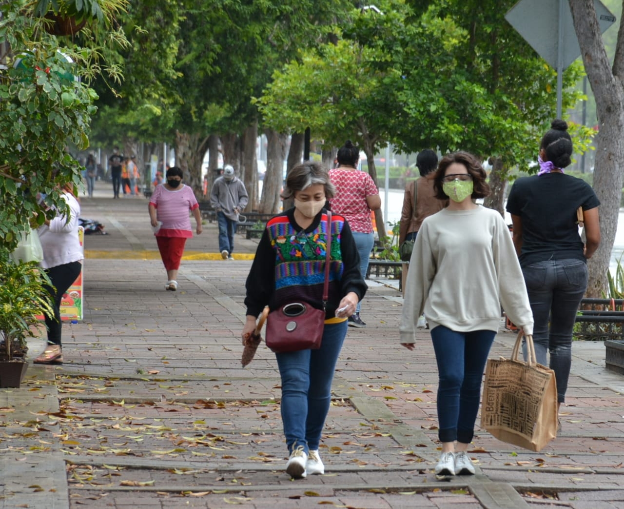 Se prevé que se registren bajas temperaturas al amanecer de este jueves en Mérida