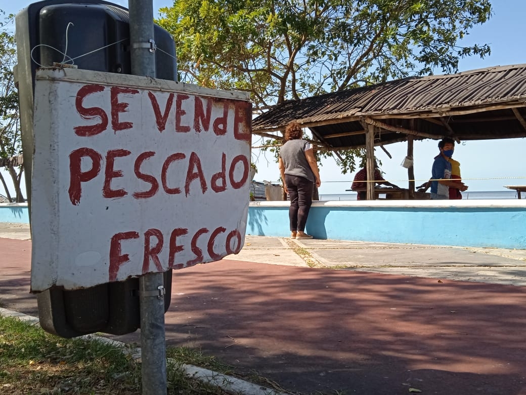 Frentes fríos detienen la pesca en Campeche