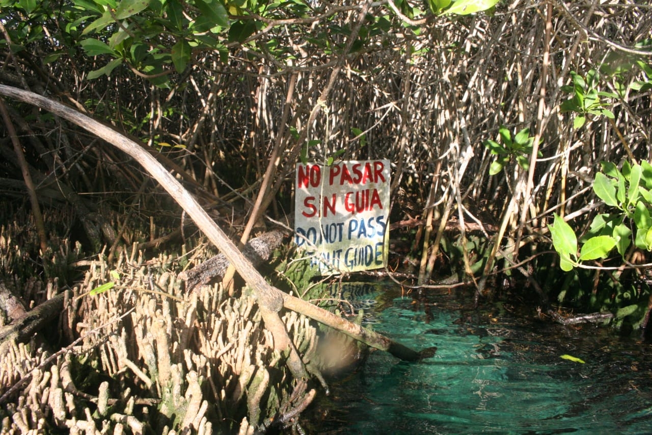 Cierra Protección Civil el Cenote del Manatí en Tulum