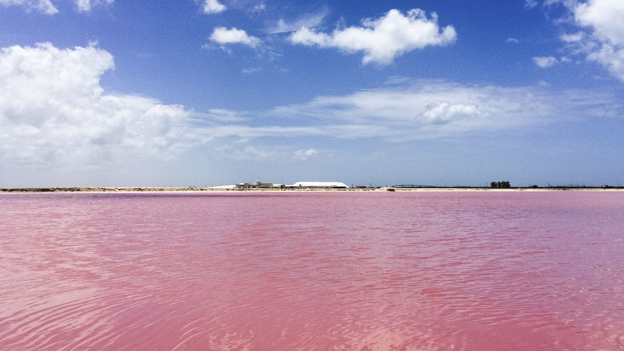 Yucatán cuenta con gran variedad de salineras en el estado