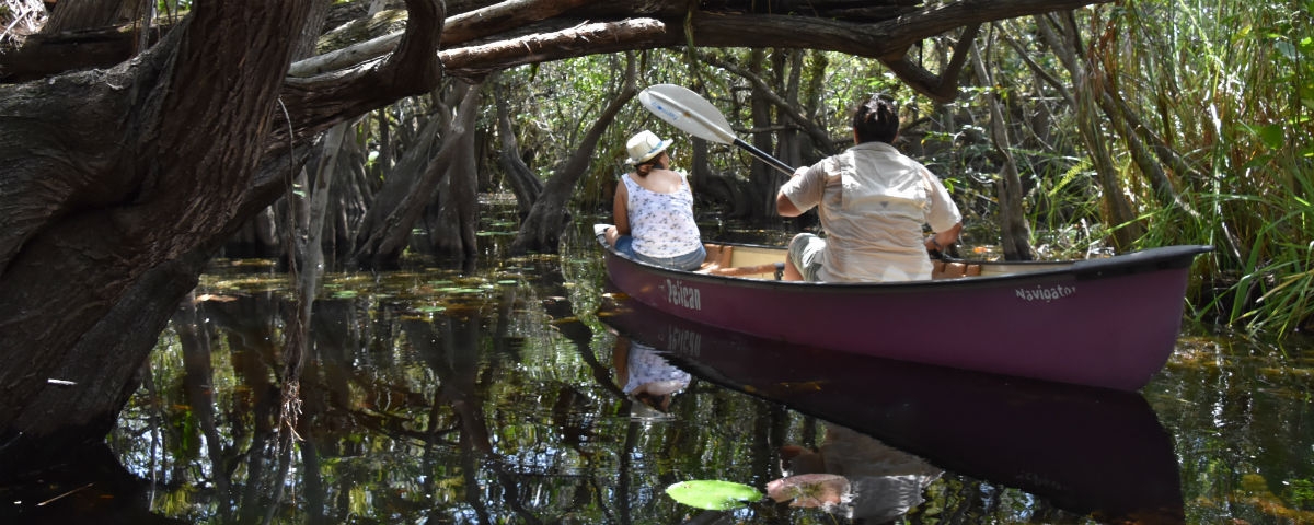 Yum Balam, vive la experiencia de los manglares en Quintana Roo