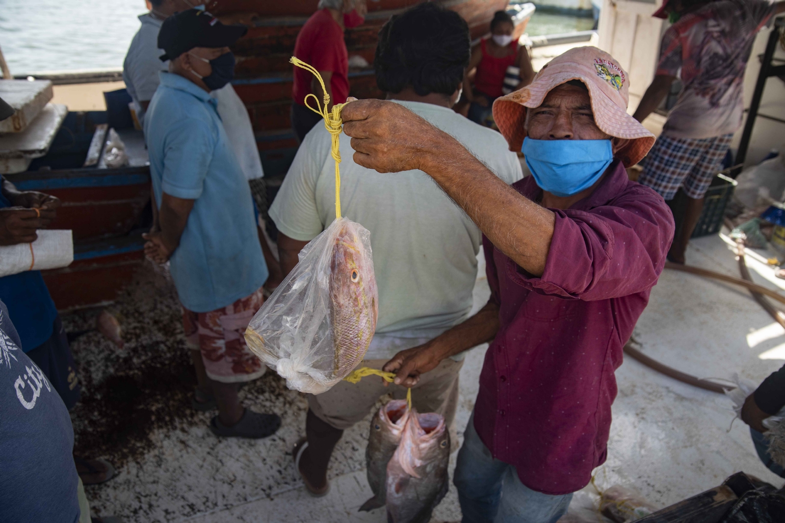 Veda del mero deja sin trabajo a pescadores en Yucatán