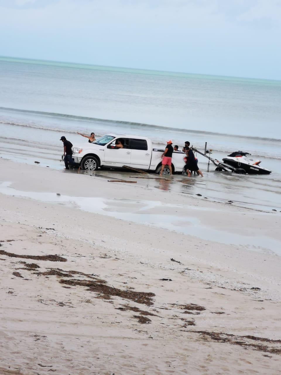Conductor atenta contra anidación de tortugas en Telchac Puerto, Yucatán