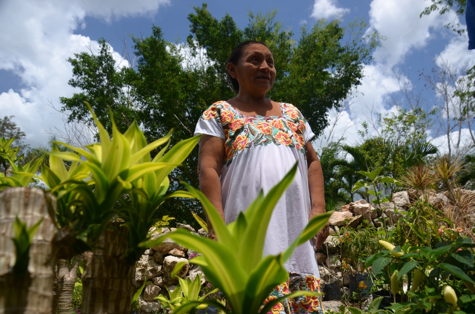78% de Mujeres campesinas en Quintana Roo carecen de predios propios