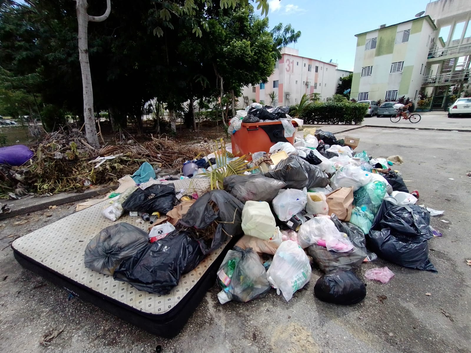 Puerto Morelos sin camiones recolectores de basura; alcaldesa admite emergencia ambiental