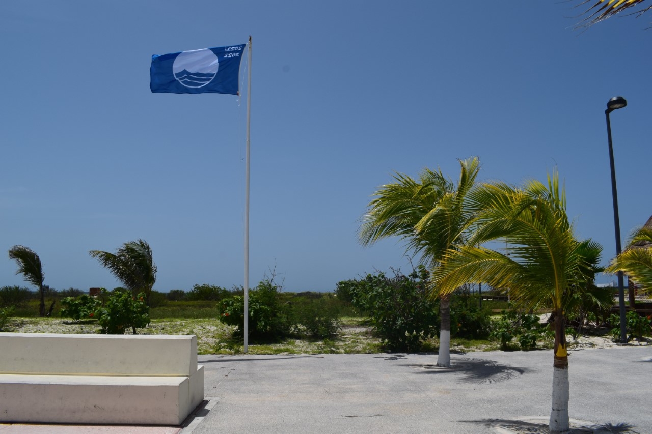 La “baja de la bandera” en el puerto ya fue notificada a la Fundación Europea de Educación Ambiental para adoptar las medidas correspondientes