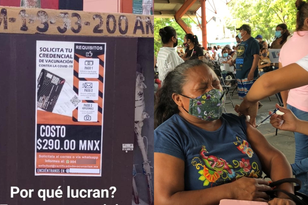 Alertan venta de falsas credenciales de vacunación contra COVID en Playa del Carmen