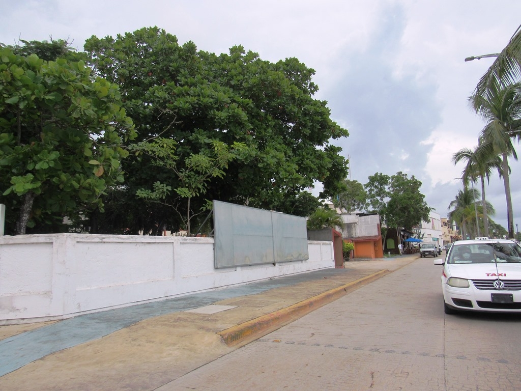 Investigarán permisos de vallas instaladas en la zona turística de Cozumel