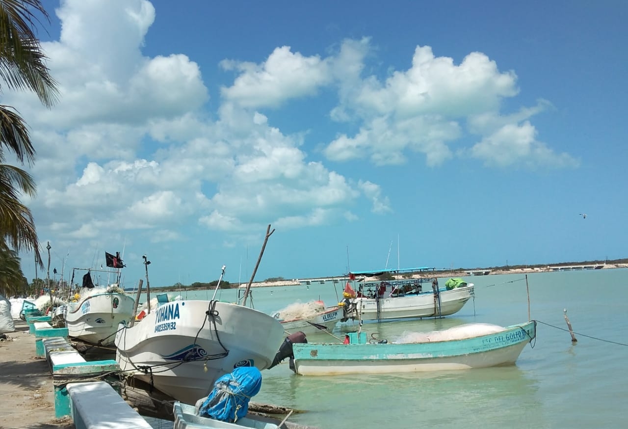 Pescadores de Sabancuy esperan su apoyo económico de Bienapesca en Campeche