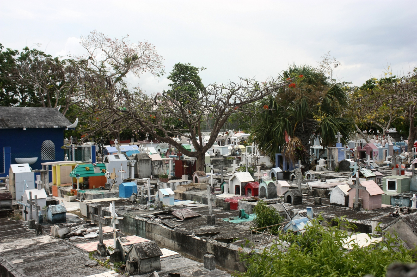 El Semáforo COVID Verde permite la apertura de panteones para la celebración del Día de Muertos en Cancún