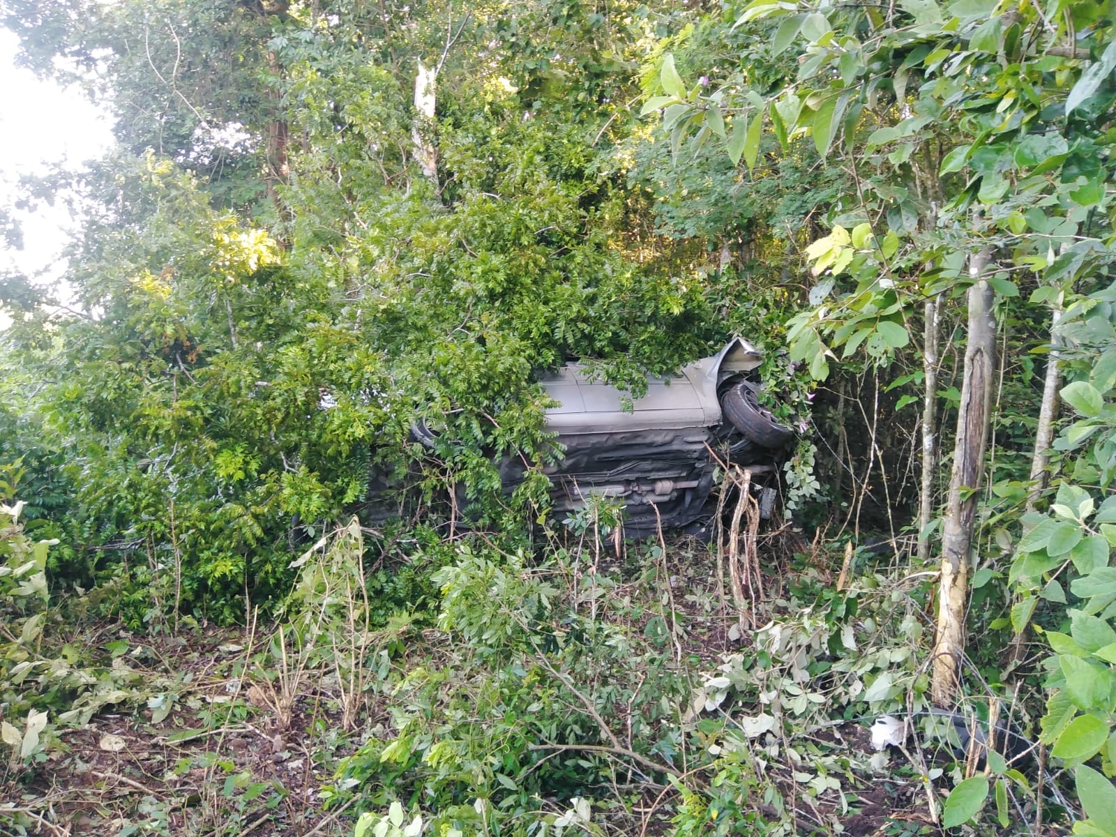 Vuelca automovilista tras dormitar en la carretera Tulum- Felipe Carrillo Puerto