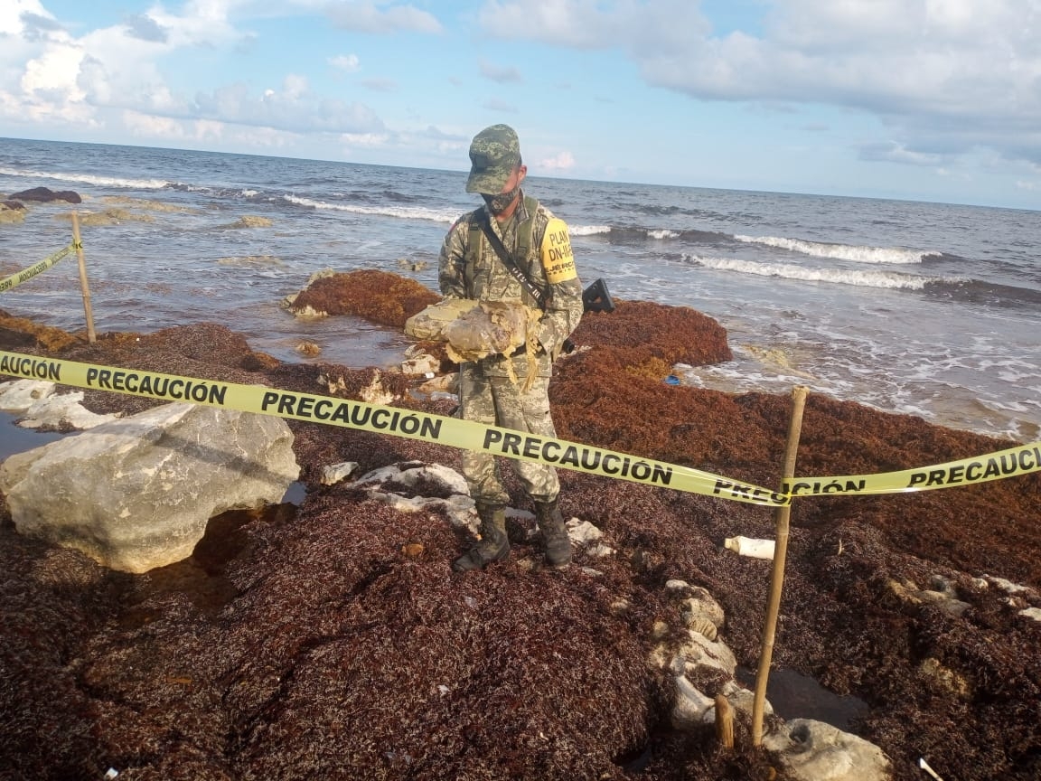 Recalan ocho kilos de marihuana en la costa este de Cozumel
