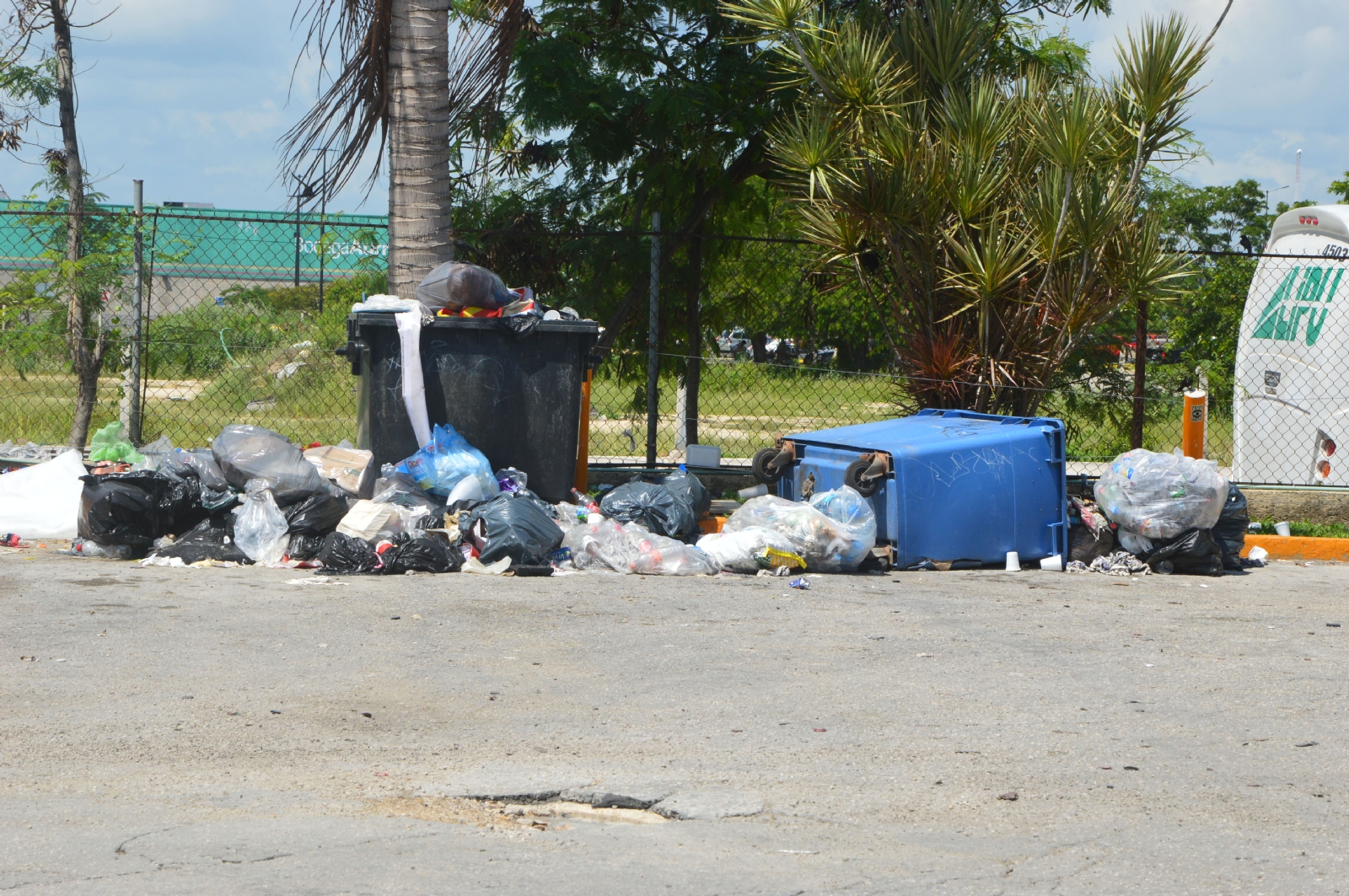 Empresarios denuncian mal servicio de recoja de basura en Playa del Carmen