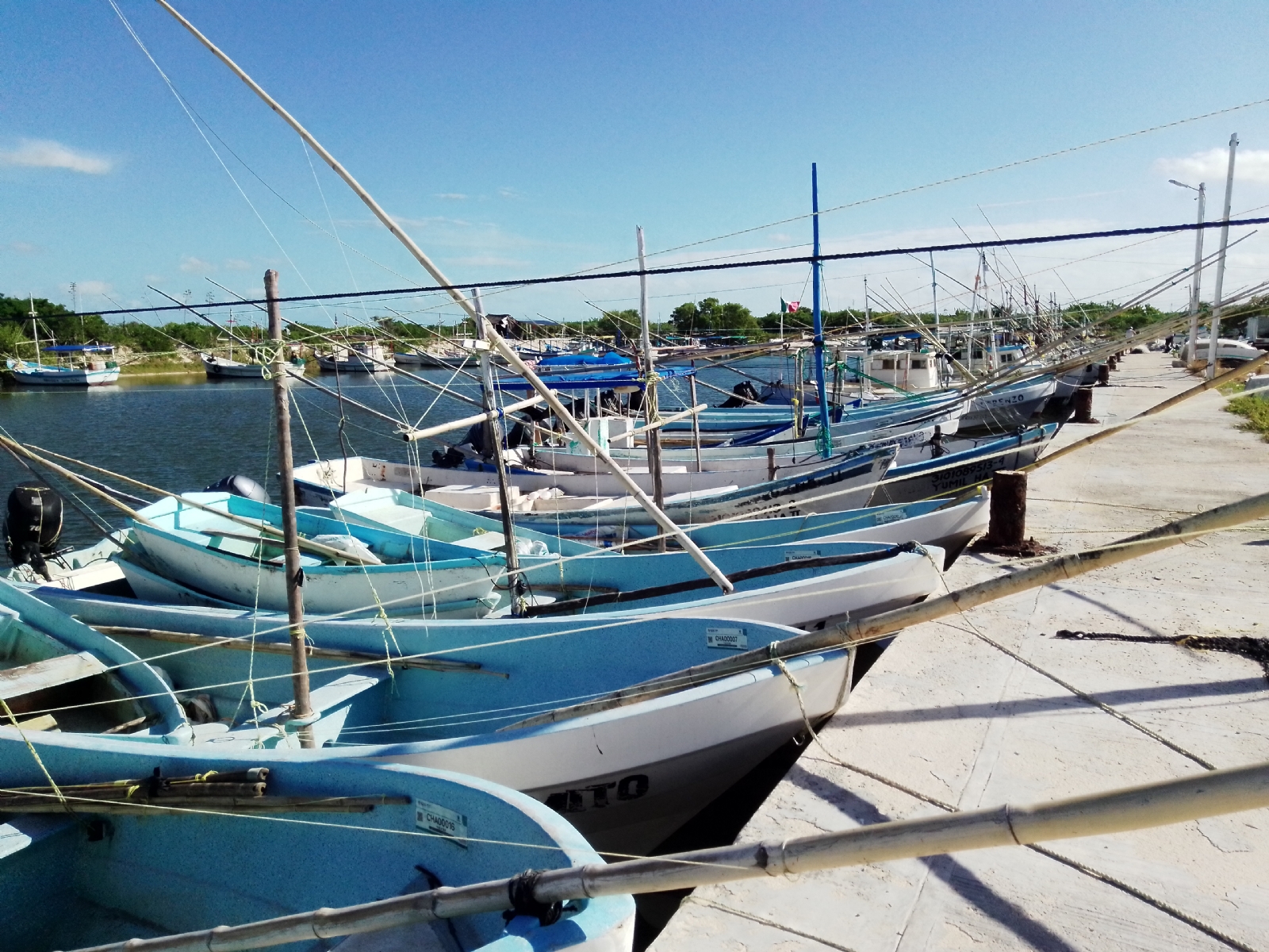 Incremento de precio en la carnada de pulpo afecta a pescadores de Chabihau, Yucatán