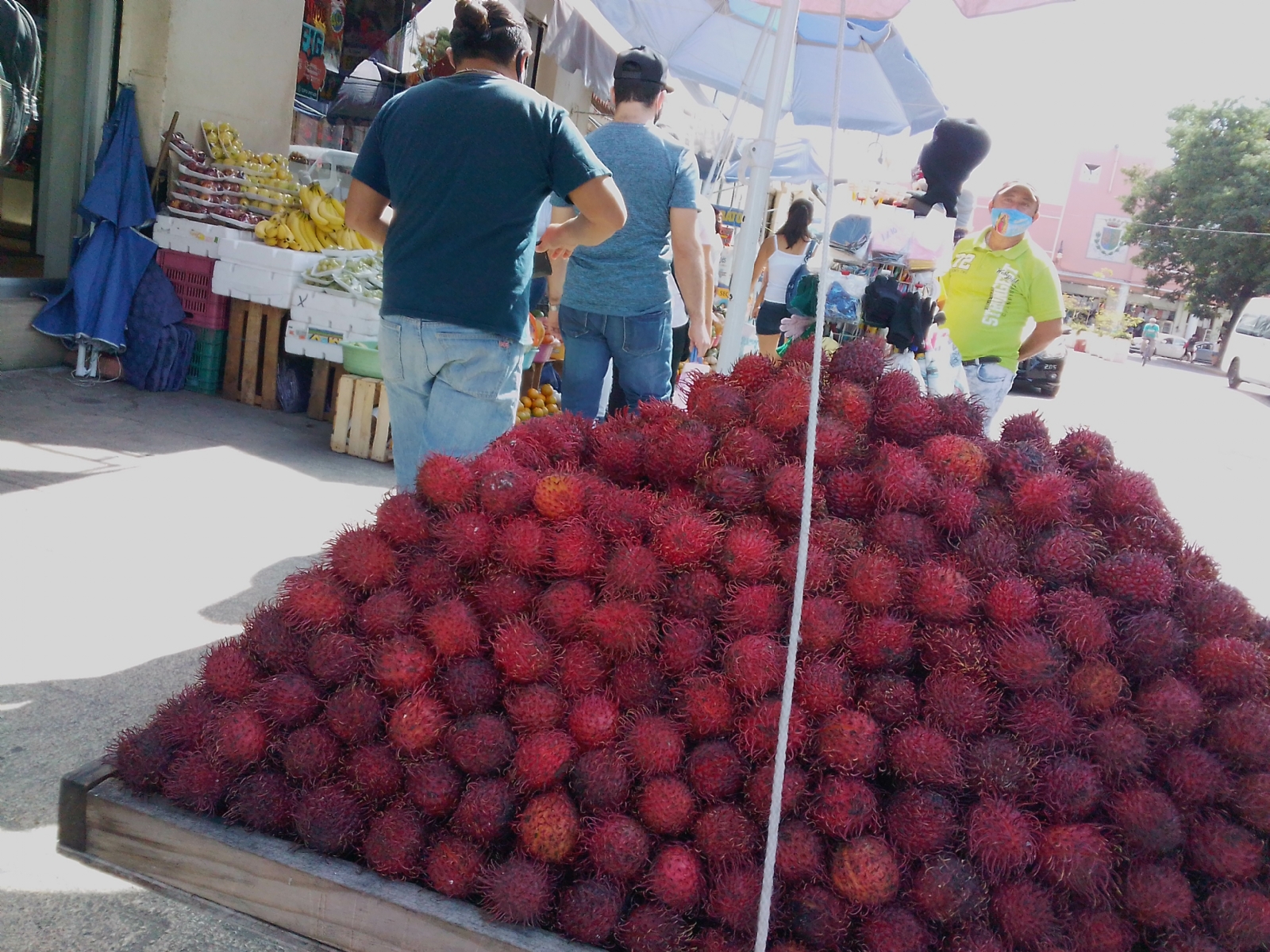 El kilogramo de la fruta va de los 45 a 50 pesos