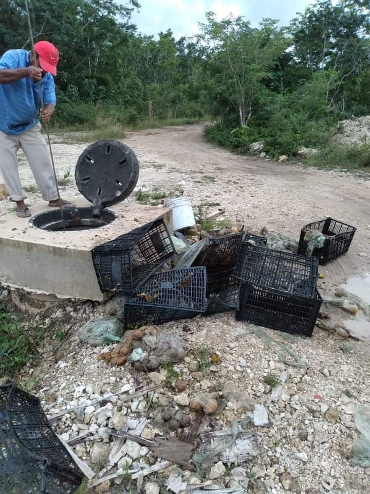 De los pozos de absorción de Cozumel han sacado cajas de plástico y bolsas de basura con residuos sólidos