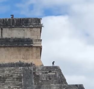 Perrito es grabado en TikTok contemplando el paisaje en Chichén Itzá