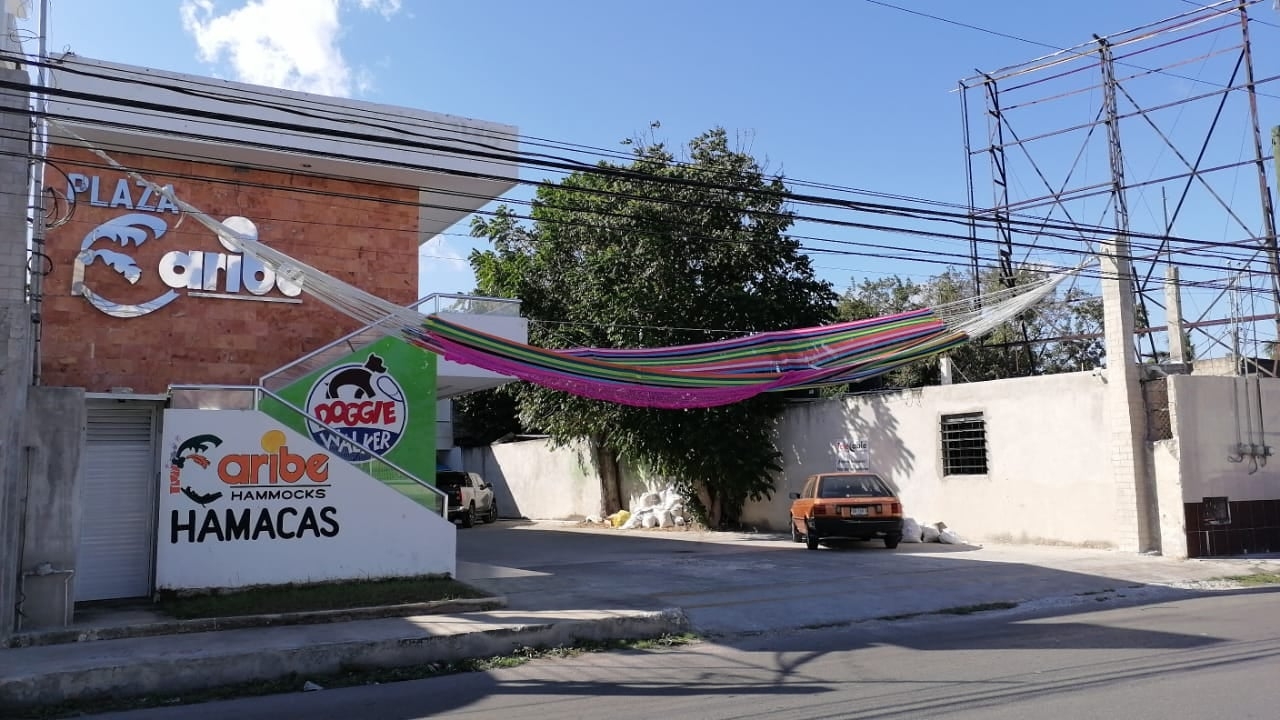 Cientos de yucatecos quedaron con la boca abierta al observar colgada una hamaca gigante en Valadolid, Yucatán
