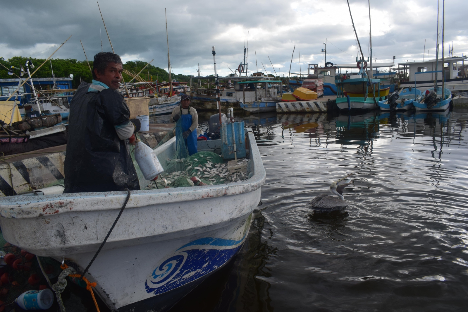 Frentes fríos en Yucatán afectan a más de 2 mil pescadores de Progreso