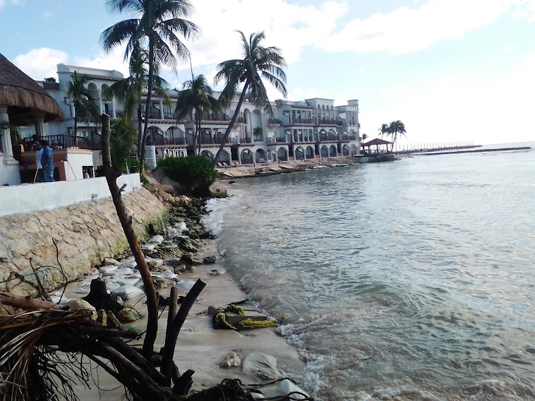 Hotel Panama Jack levanta muro en zona erosionada de Playa del Carmen, denuncian