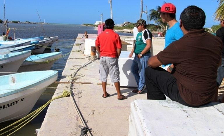 Pescadores de Sisal dejan la captura de pulpo a 15 días de terminar la temporada