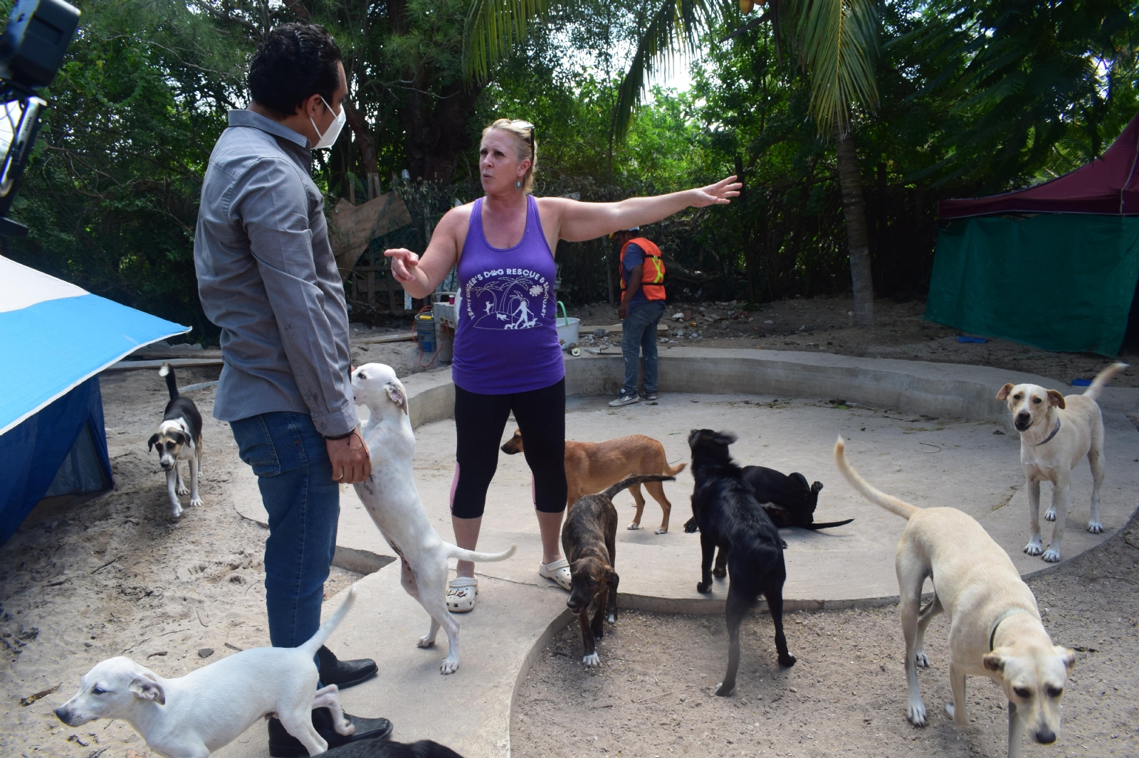 Extranjeros crean clínica para perros callejeros en Progreso, Yucatán