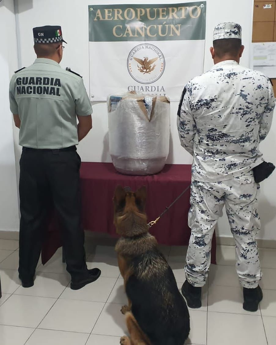 Guardia Nacional asegura 22 kilogramos de marihuana en el aeropuerto de Cancún