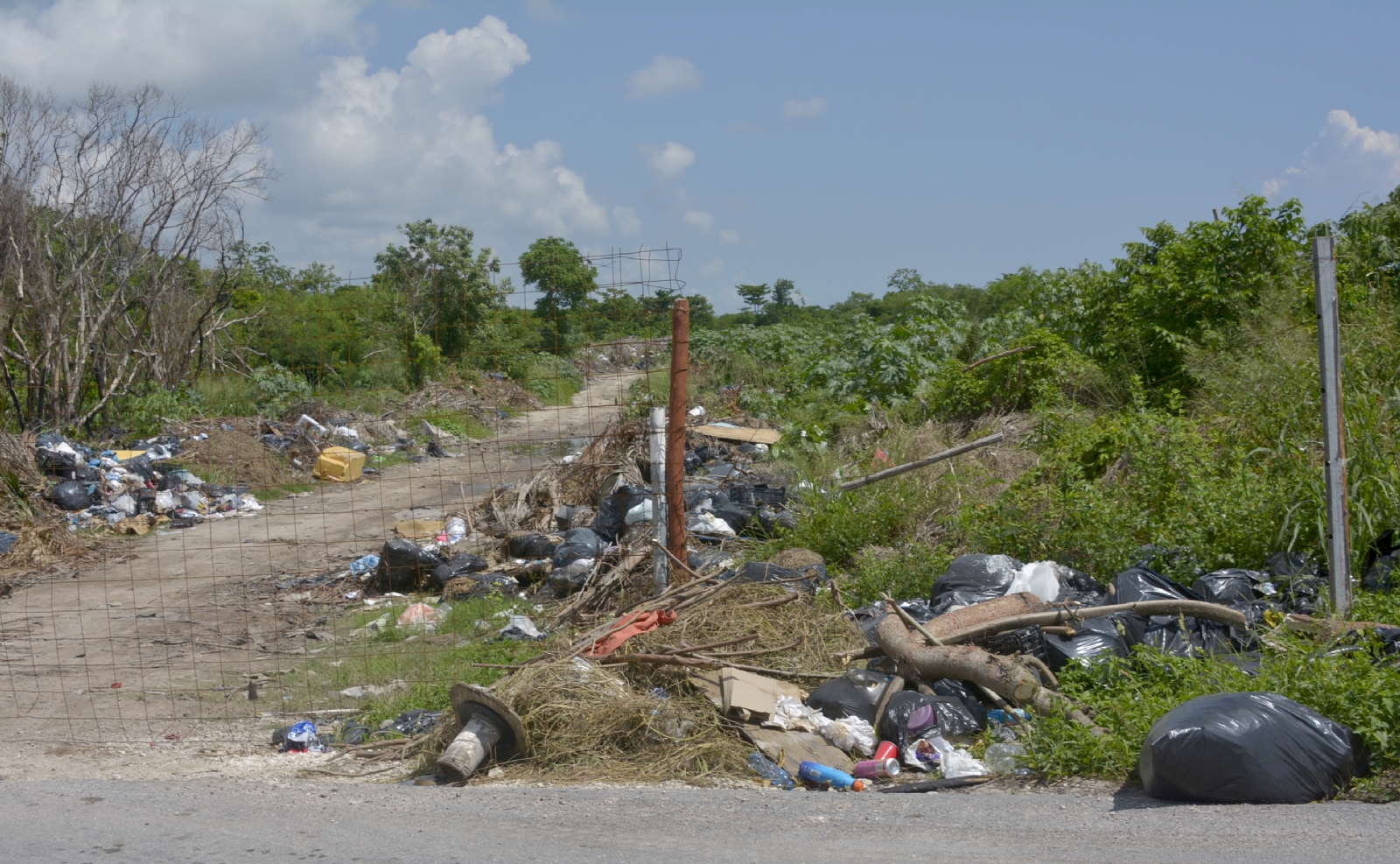 Agudiza problema de la basura en Puerto Morelos: Hallan tiraderos en la Ruta de Los Cenotes
