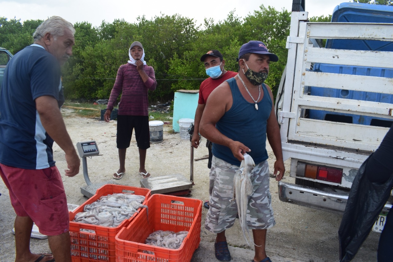 Pescadores de Progreso zarpan en la última travesía antes de la veda de pulpo
