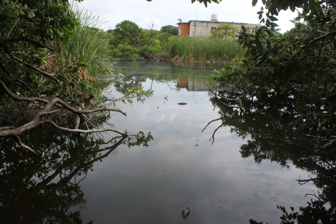 Ambientalistas de Ciudad del Carmen acusan a pobladores de destruir la Laguna de Guadalupe
