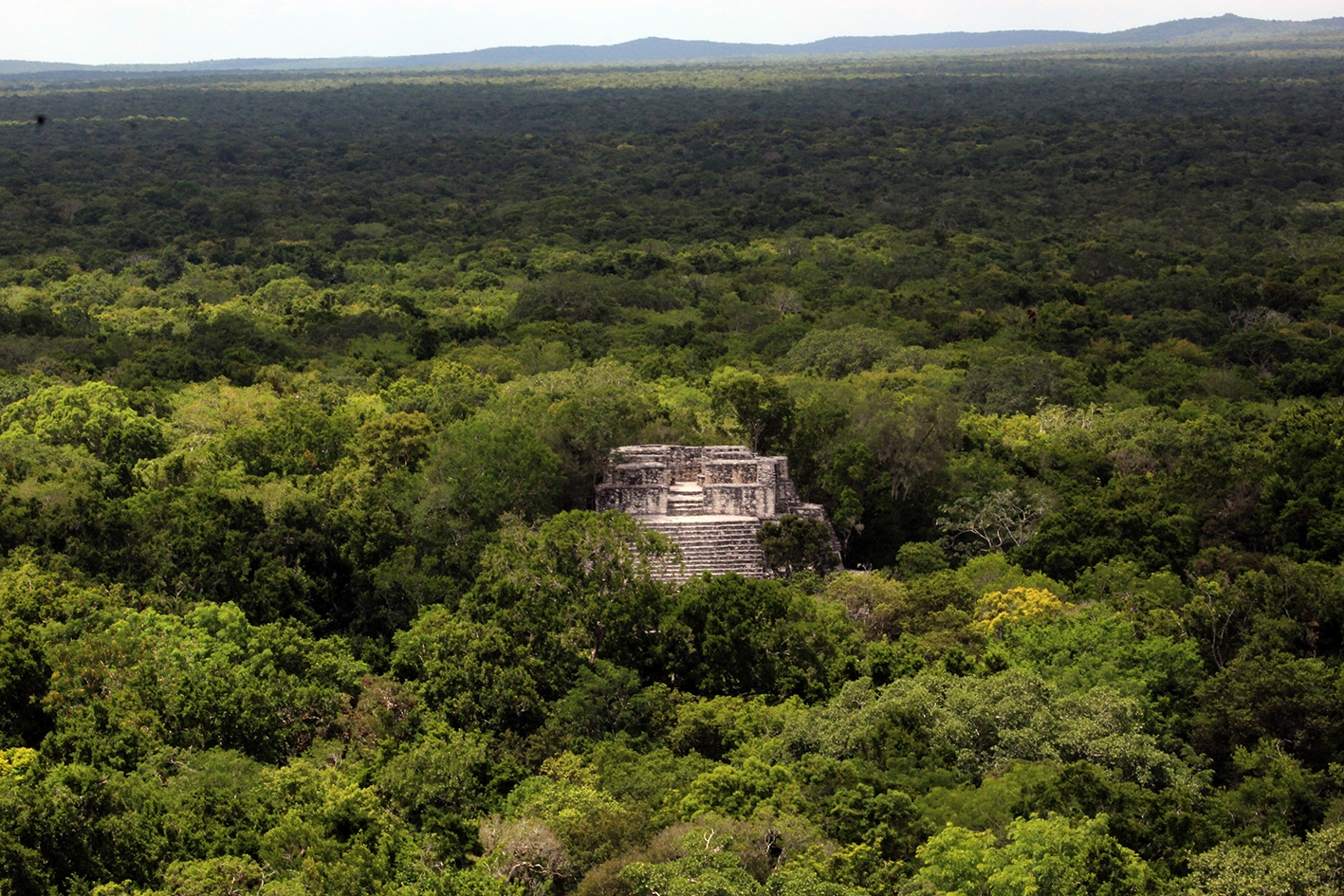 AMLO anuncia ampliación de la Reserva de Calakmul en Campeche
