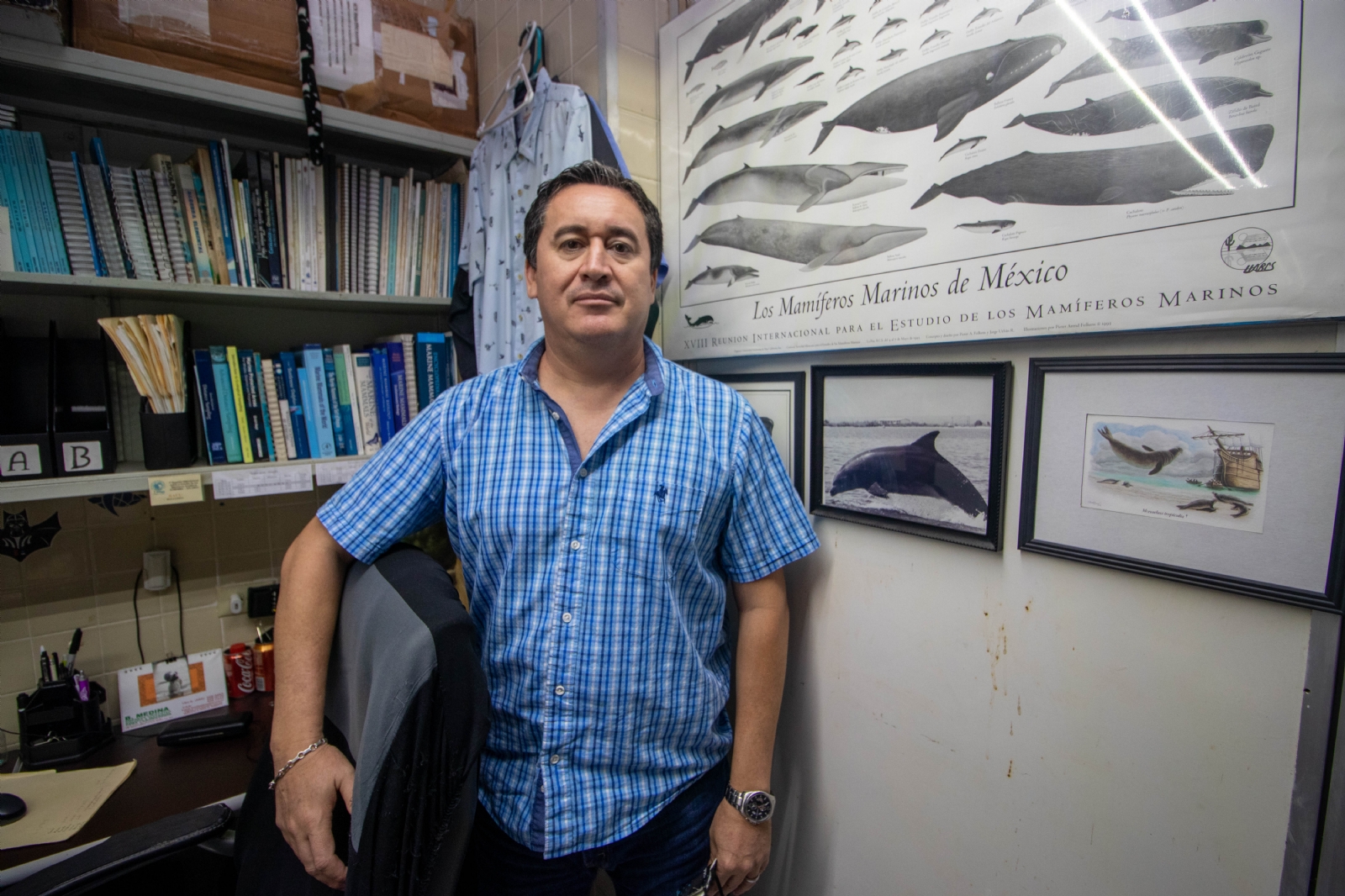 Raúl Díaz Gamboa, jefe del departamento de biología marina de la UADY, indicó que los atascamientos obedecen a mútiples factores