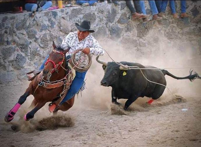 Feria de Reyes de Tizimín 2022: Animalistas repudian la idea de un Torneo de Lazo